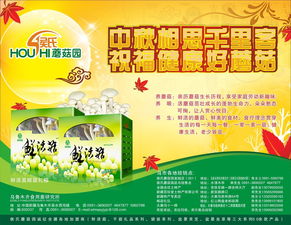 報(bào)紙廣告設(shè)計(jì)